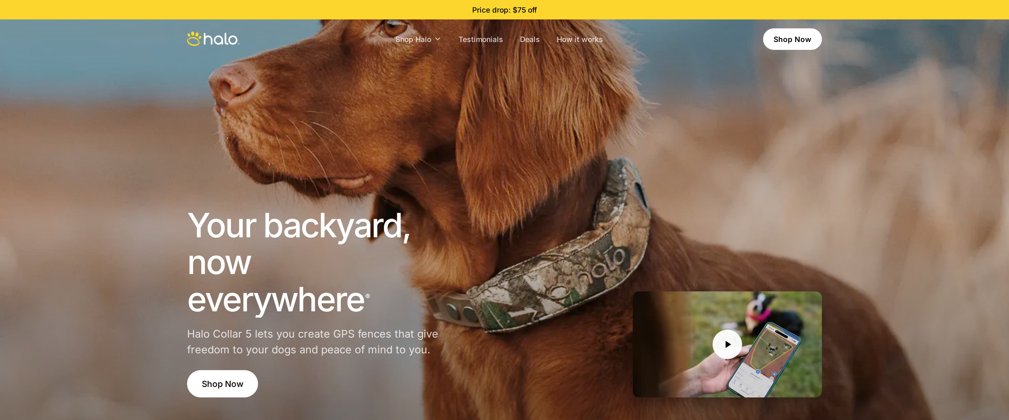 Halo Collar homepage with the headline Your backyard, now everywhere