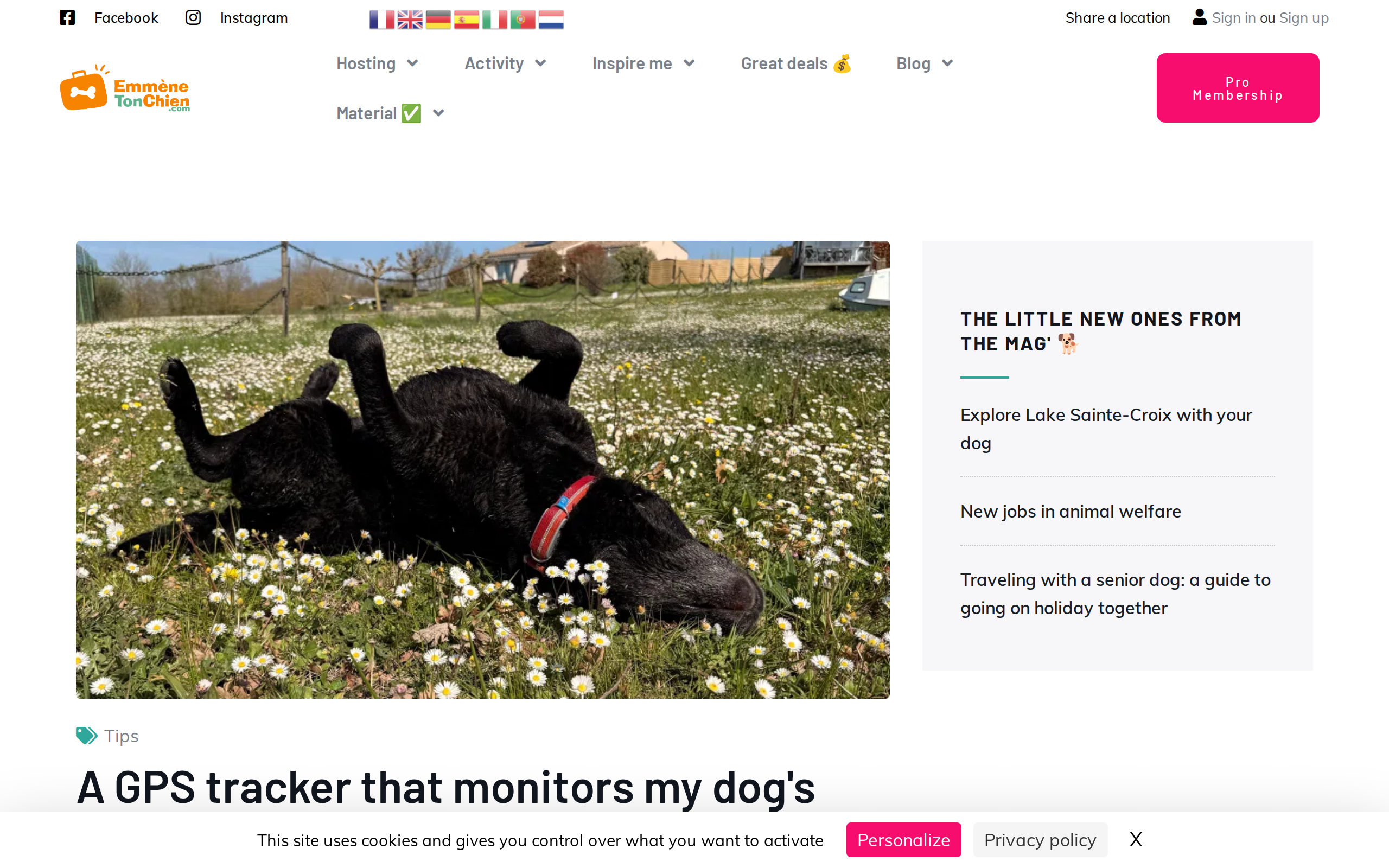 Emmène ton chien's two-week Biotracker test, with the headline about a GPS tracker that monitors a dog's health