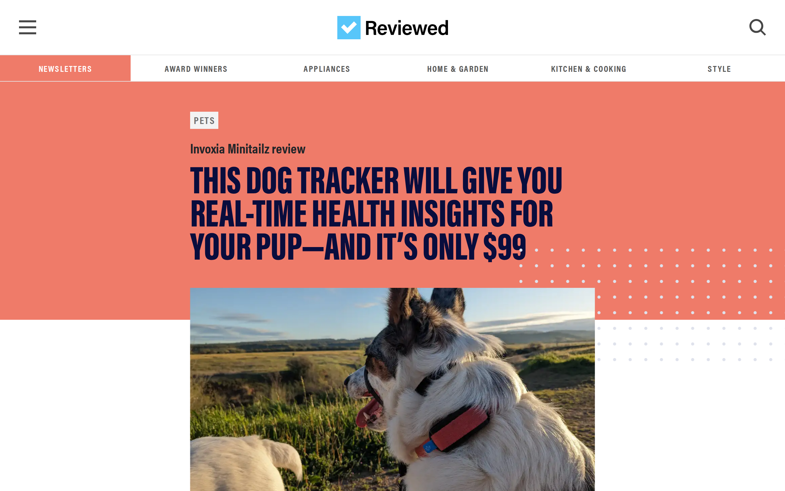 Reviewed's Minitailz review headline, with a photo of a dog wearing the tracker