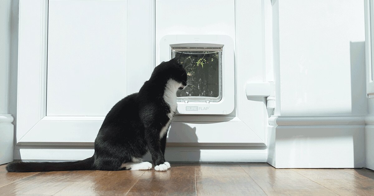 Sure Petcare's product artwork for the Microchip Pet Door Connect