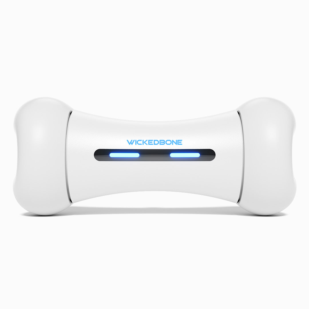 The white Wickedbone from the front, with two blue LED strips and the name printed on its centre